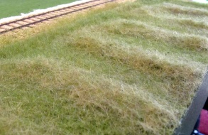 Wiese mit Heu