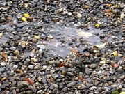 Herbstwetter