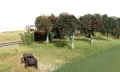 ARit6708 13.jpg
