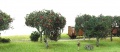 ARit6708 14.jpg