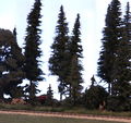 Filderstadt 1 2010 Strecke6.jpg