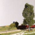 ARit6704 14.jpg