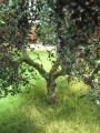 ARit6708 17.jpg