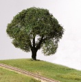 ARit6706 8.jpg