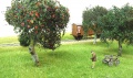 ARit6708 15.jpg