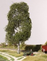 ARit6704 12.jpg
