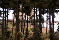 Filderstadt 1 2010 Strecke7.jpg