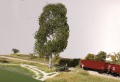 ARit6704 11.jpg